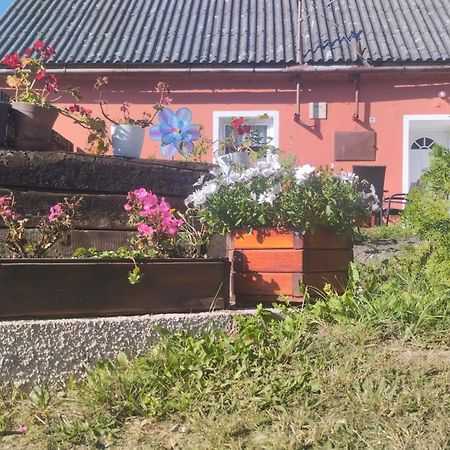 Ubytovani U Machalu Villa Leskovec Nad Moravici Eksteriør bilde